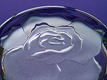 グラスを底面側から見た場合の「バラ」のクローズアップ画像