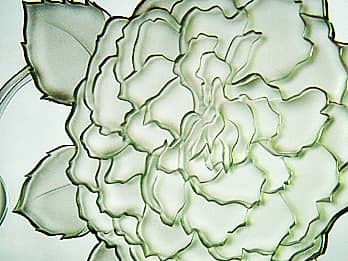 鏡に彫刻したバラの花のクローズアップ画像