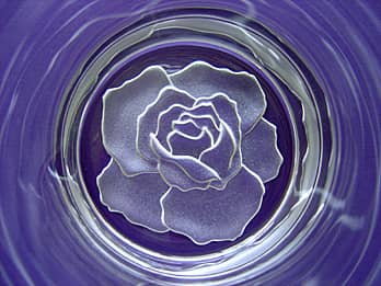 グラスを上から見た場合の「バラ」のクローズアップ画像
