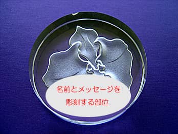 y[p[EFCgӒɁuOEbZ[WES}[NvȂǂ𒤍镔