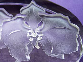 ガラス製ペーパーウェイトに彫刻した胡蝶蘭のクローズアップ画像
