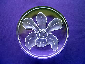 ランの花の彫刻を施した、円形のクリスタルガラス製ペーパーウェイト