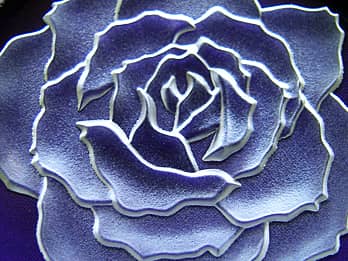 猫と薔薇の花と靴』琥珀アンバー色 ガラス 置物 ペーパー