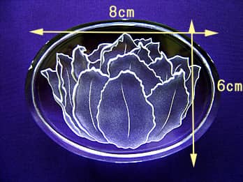 y[p[EFCg `[bṽTCY摜